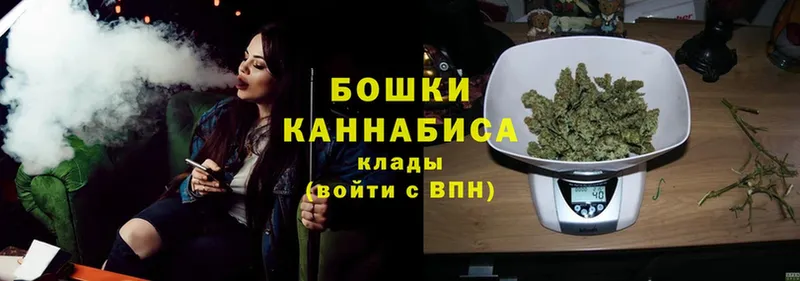 Каннабис OG Kush  Джанкой 